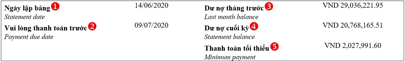 màn hình chụp mục Tổng quan tài khoản trong bảng sao kê thẻ tín dụng 